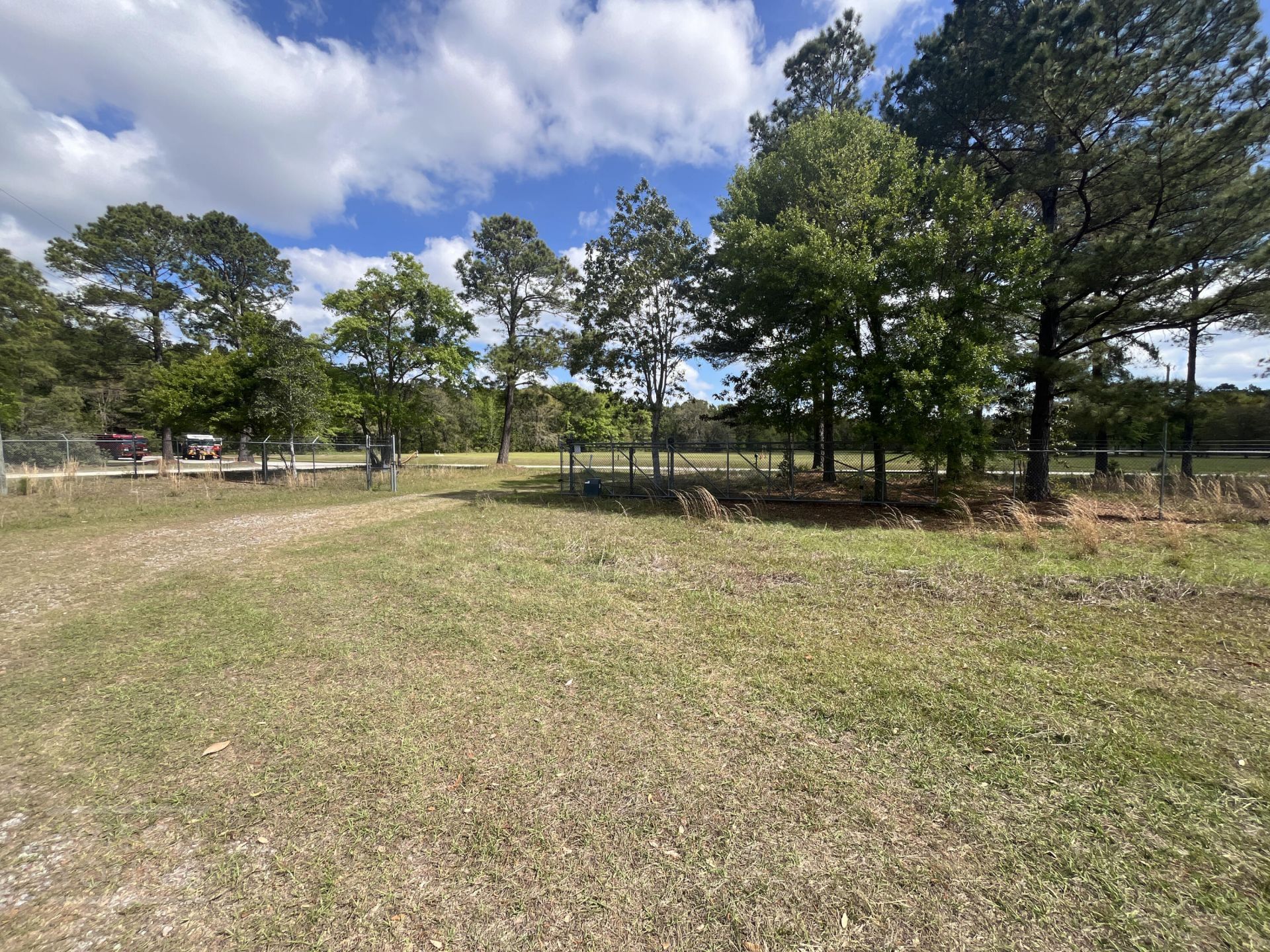 89 Schein Loop Photo 7