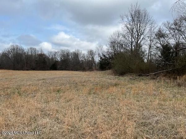 22 Willie Hibbler Road, Senatobia, MS 38668