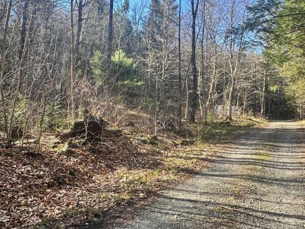 0 Hunter Brook Road, Marlboro, VT 05344