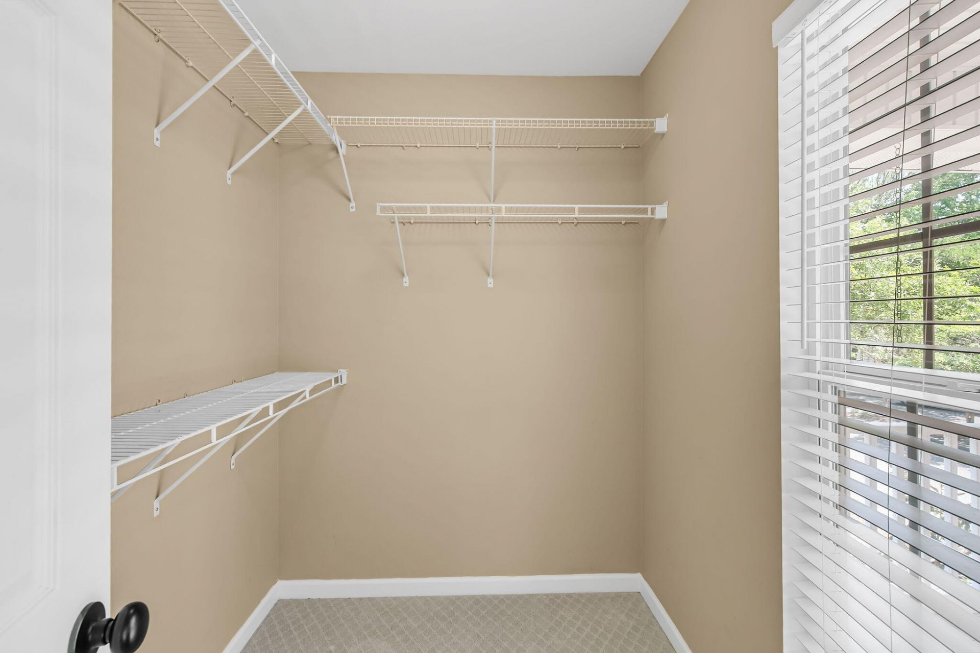 1249 Laurel Park Trail Photo 25