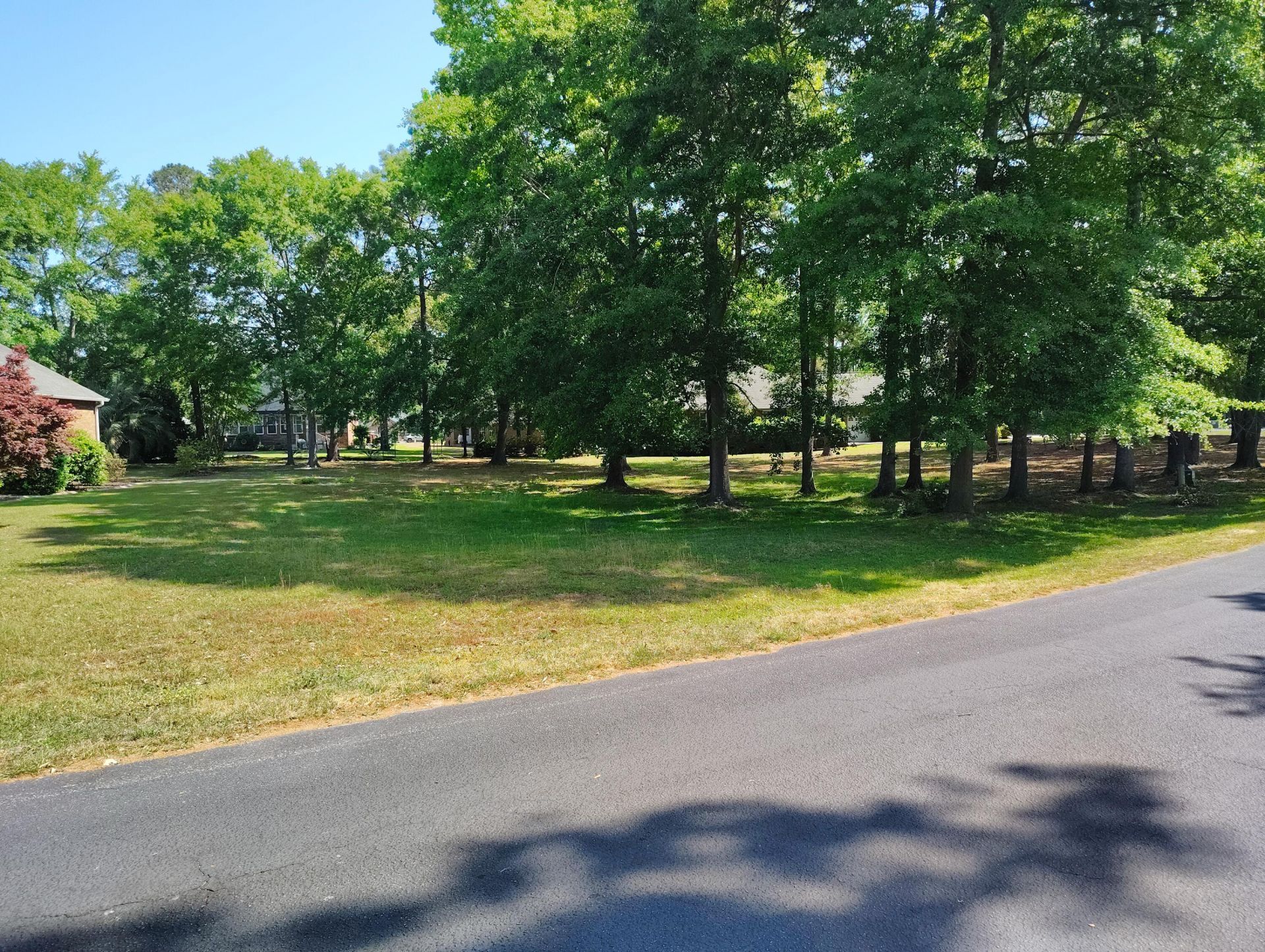 218 Ridge Lake Drive Photo 4