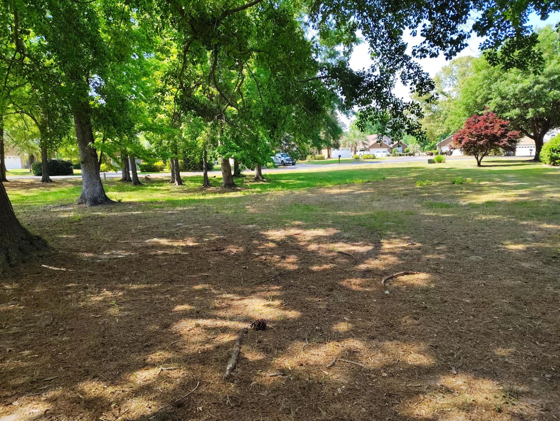 218 Ridge Lake Drive Photo 5