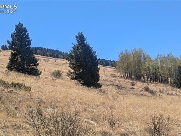 1960 Troy Drive, Cripple Creek, CO 80813