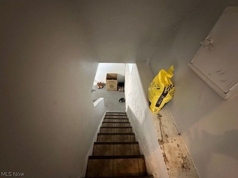 1011 Yellowstone Road, Cleveland Heights, OH 44121 Photo 7