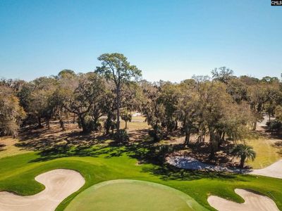 18 Tabby Circle , Daufuskie Island, SC 29915