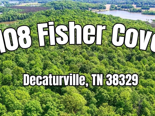 108 FISHER CV, Decaturville, TN 38329