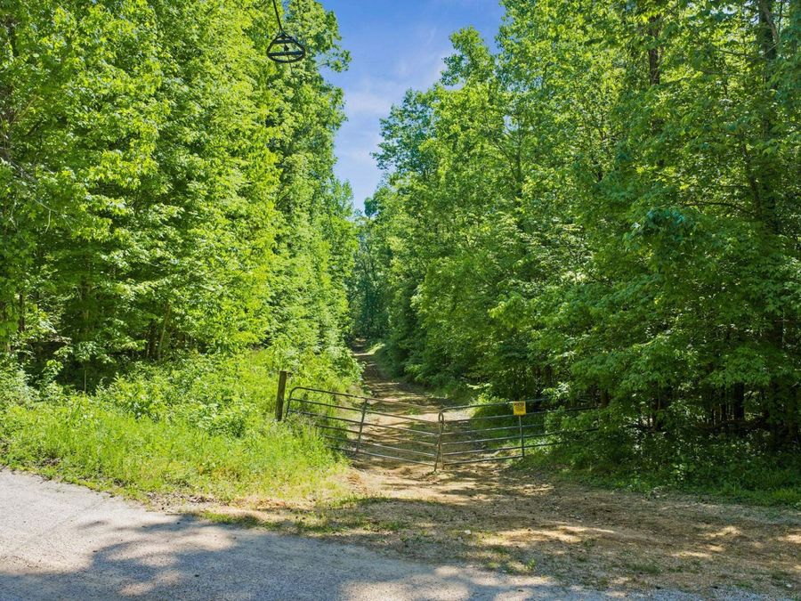 Property Image 6
