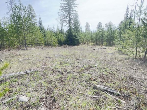 NKN Evergreen Rd, Ione, WA 99139