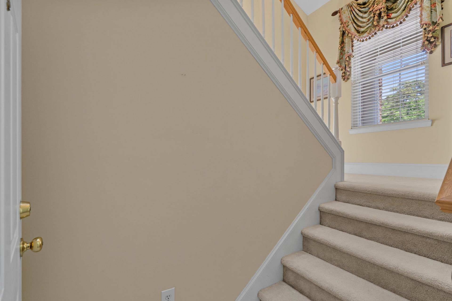 4436 Lady Banks Ln. Photo 17
