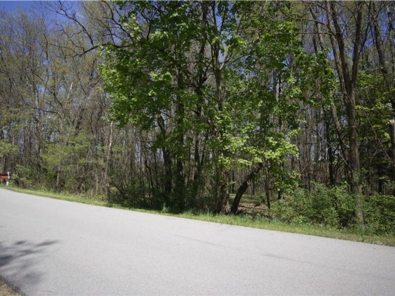 Mohican Trail, Negley, OH 44441 Photo 4