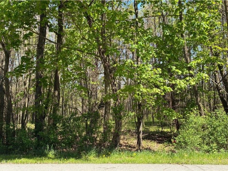 Mohican Trail, Negley, OH 44441 Photo 6
