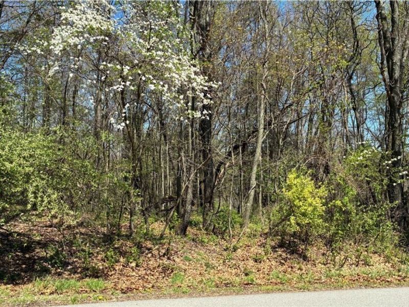 Mohican Trail, Negley, OH 44441 Photo 9