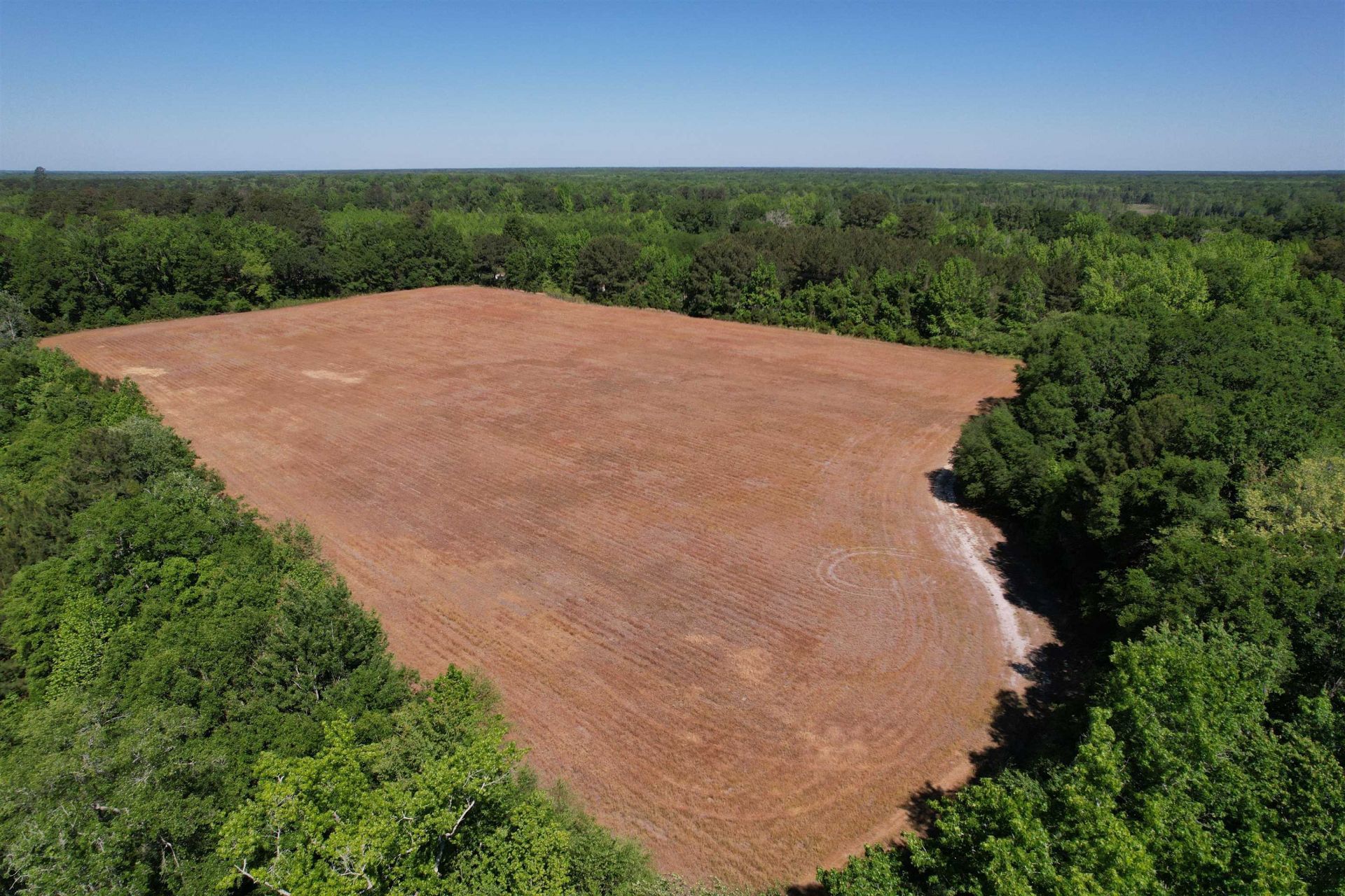 Tbd Easler Hwy , Greeleyville, SC 29056 Main Photo