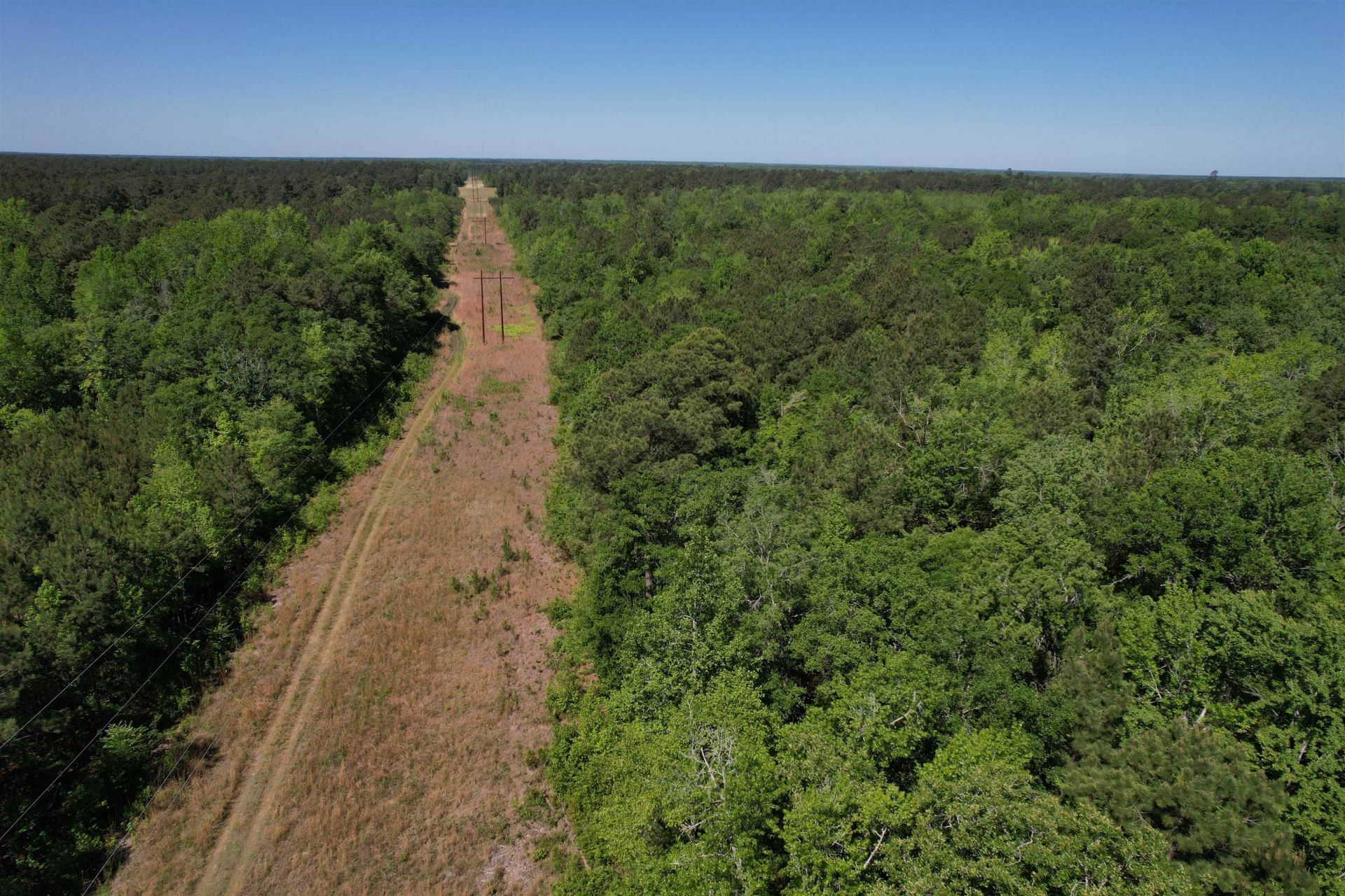 Tbd Easler Hwy  Photo 19
