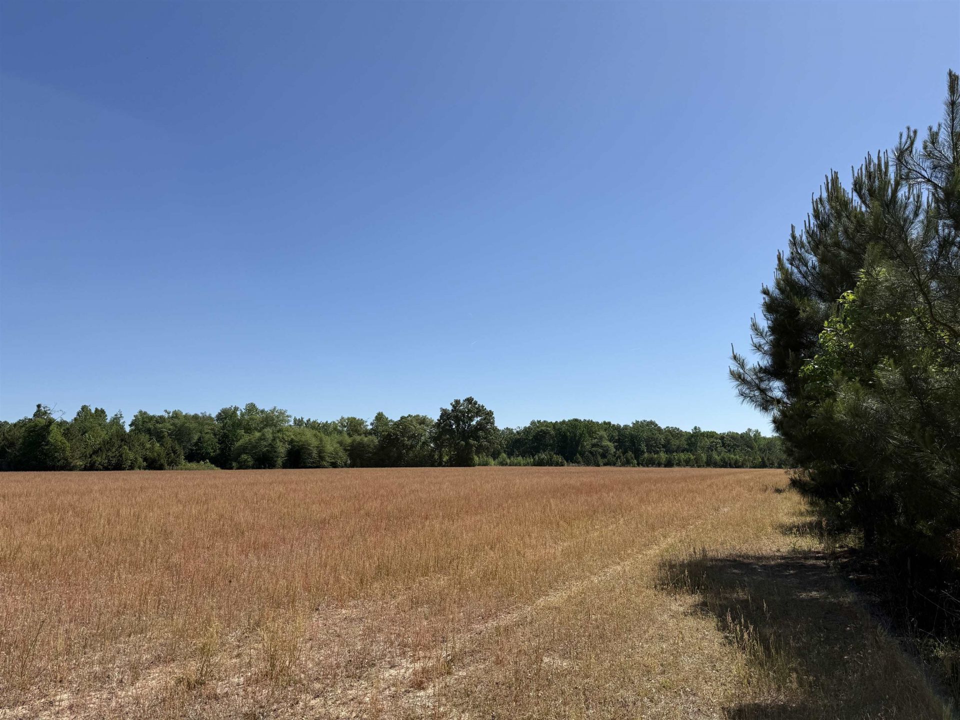 Tbd Easler Hwy  Photo 25