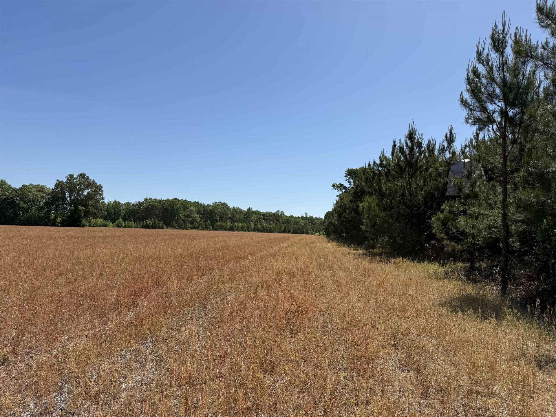 Tbd Easler Hwy  Photo 27