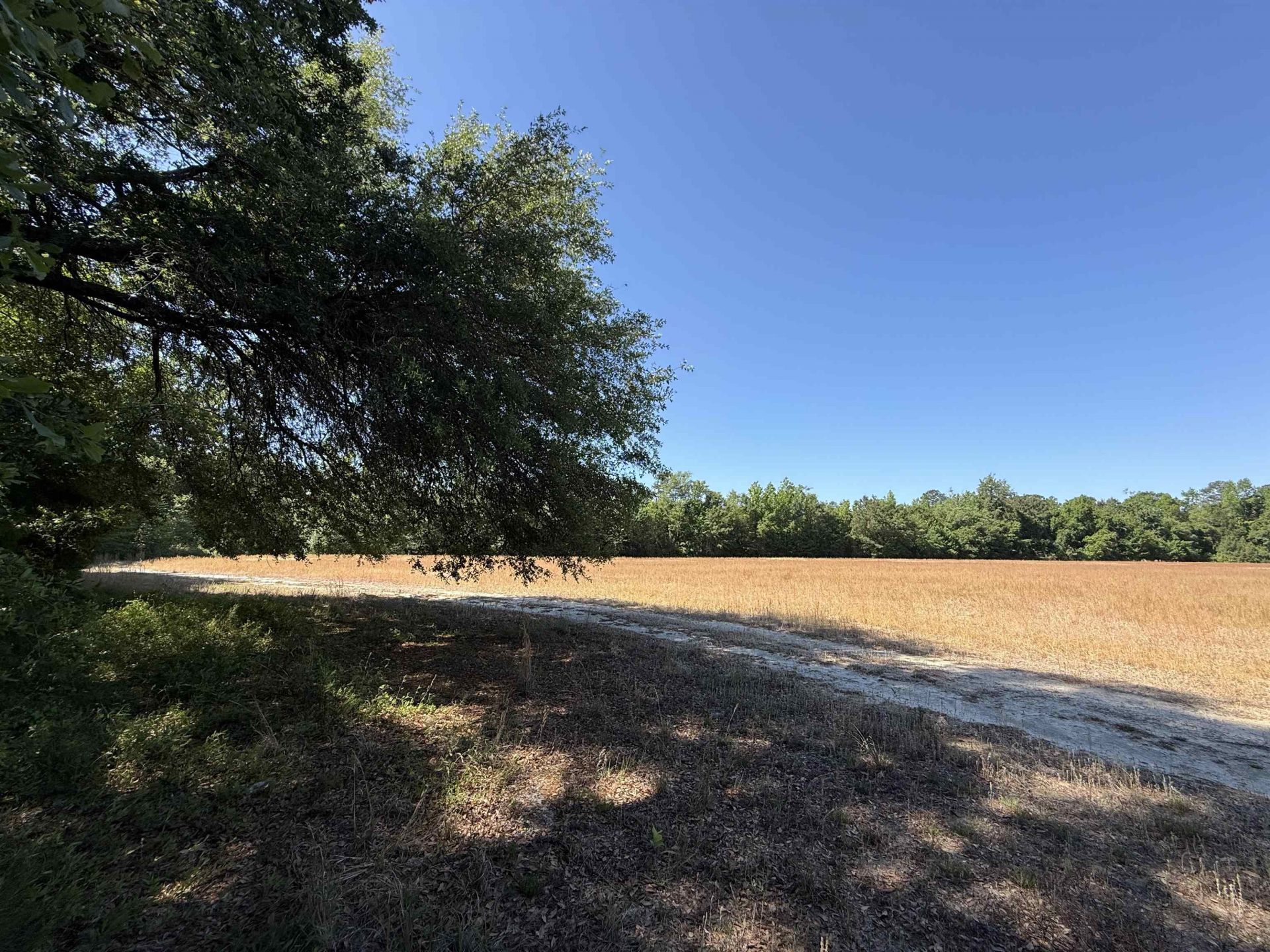 Tbd Easler Hwy  Photo 30