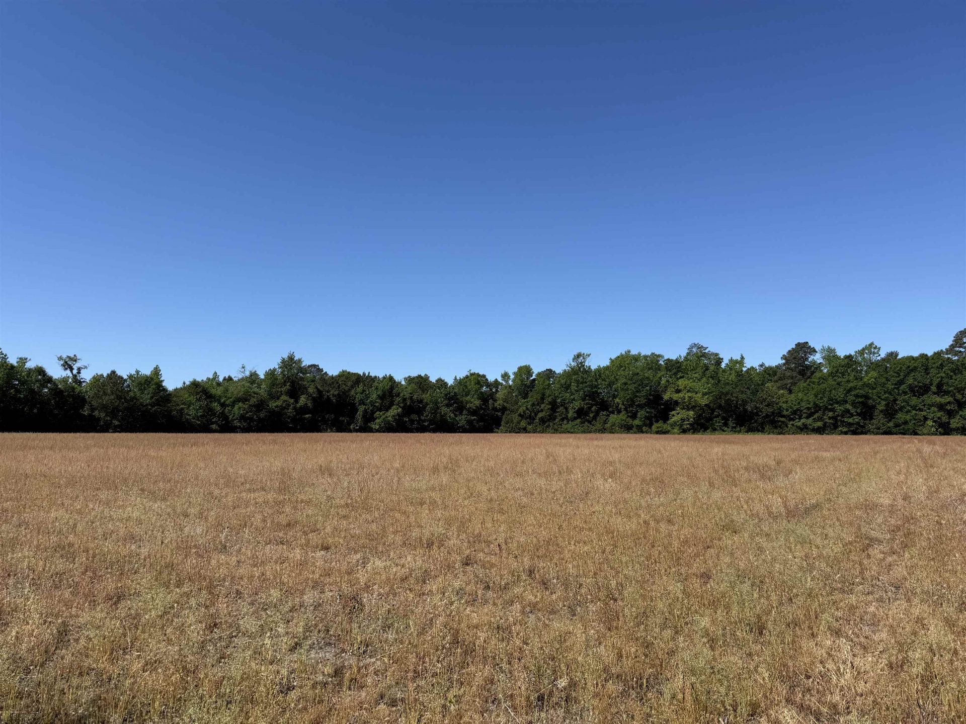 Tbd Easler Hwy  Photo 31