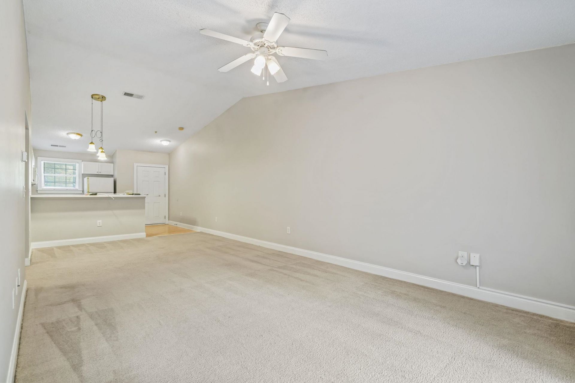 6010 Dick Pond Rd. Photo 15
