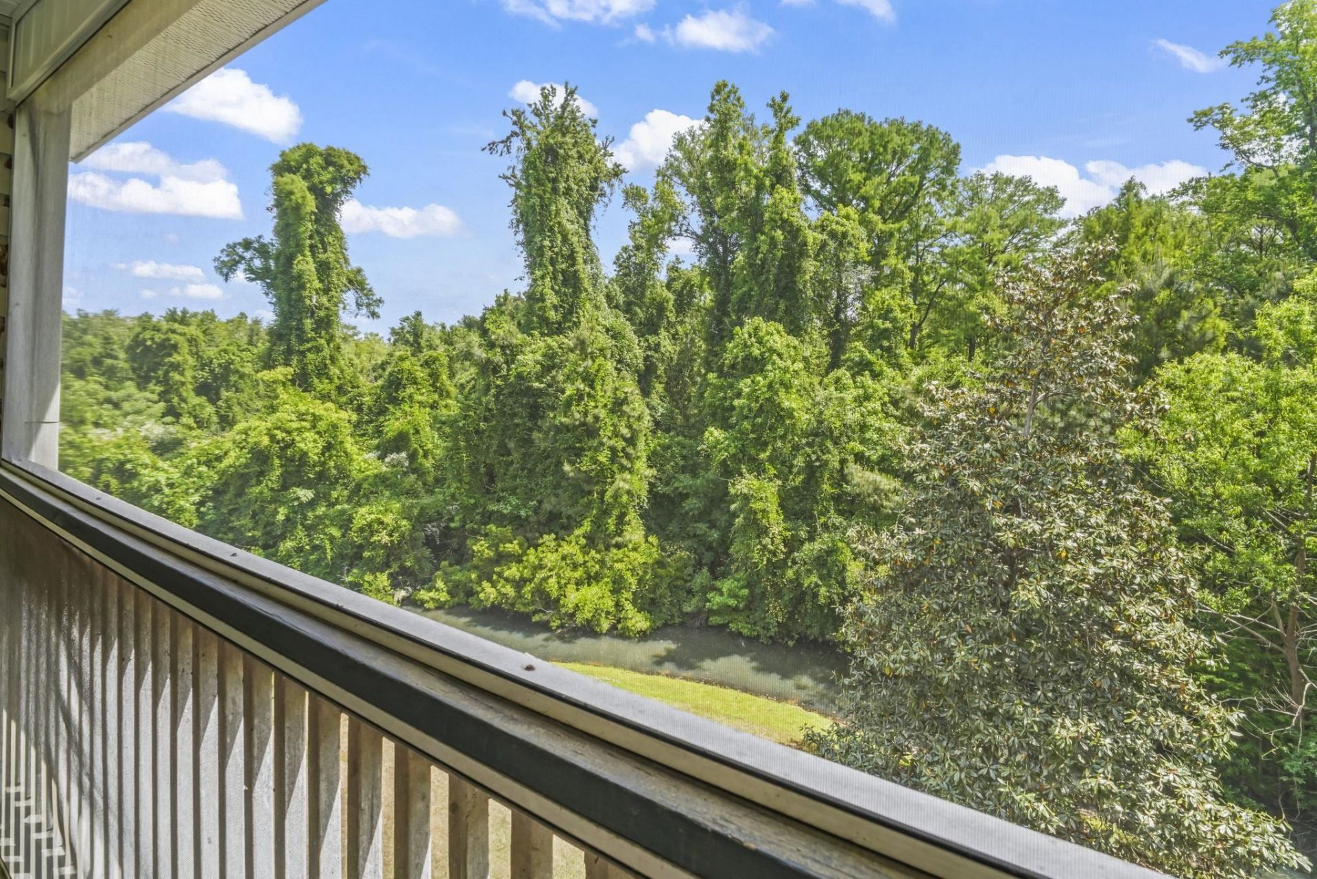 6010 Dick Pond Rd. Photo 30