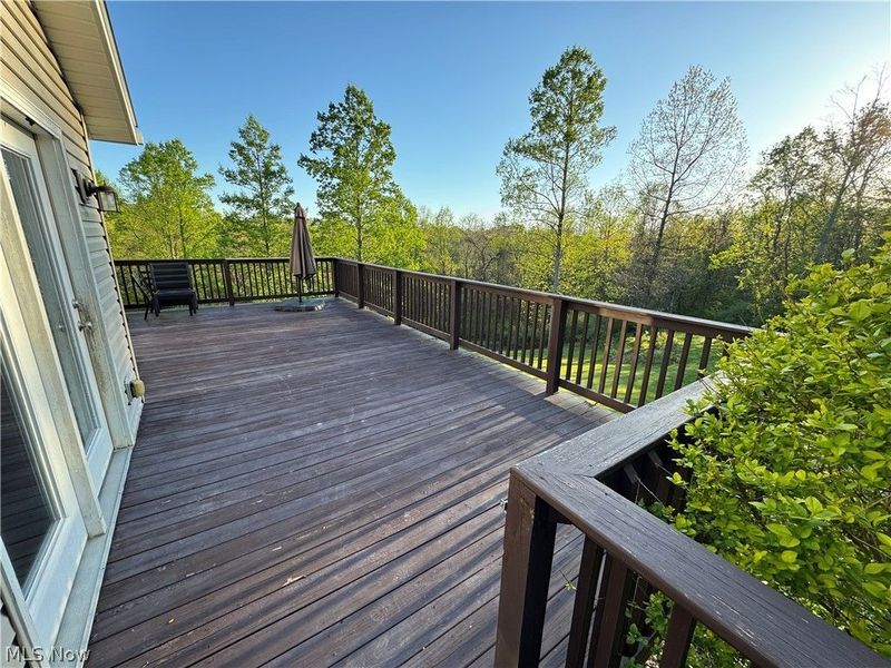 63820 Garrett Rd (Township Rd 204), Bethesda, OH 43719 Photo 18