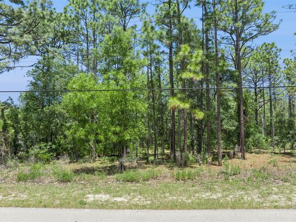 1797 W UNION STREET, HERNANDO, FL 34442