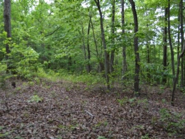 0 Forest Trail Lane , Celina, TN 38551