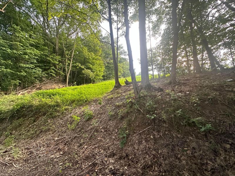 0 Township Road 25, Thornville, OH 43076 Photo 3