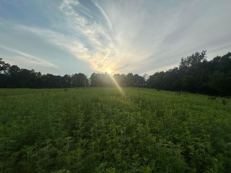 0 Township Road 25, Thornville, OH 43076 Photo 4