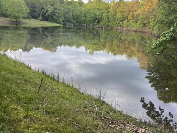 145 greene 145, Paragould, AR 72450