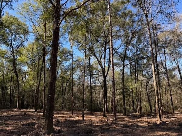 0 Danner Road , Wilmer, AL 36587