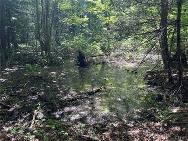 0 23rd Avenue S, Sylvan Beach, NY 13157
