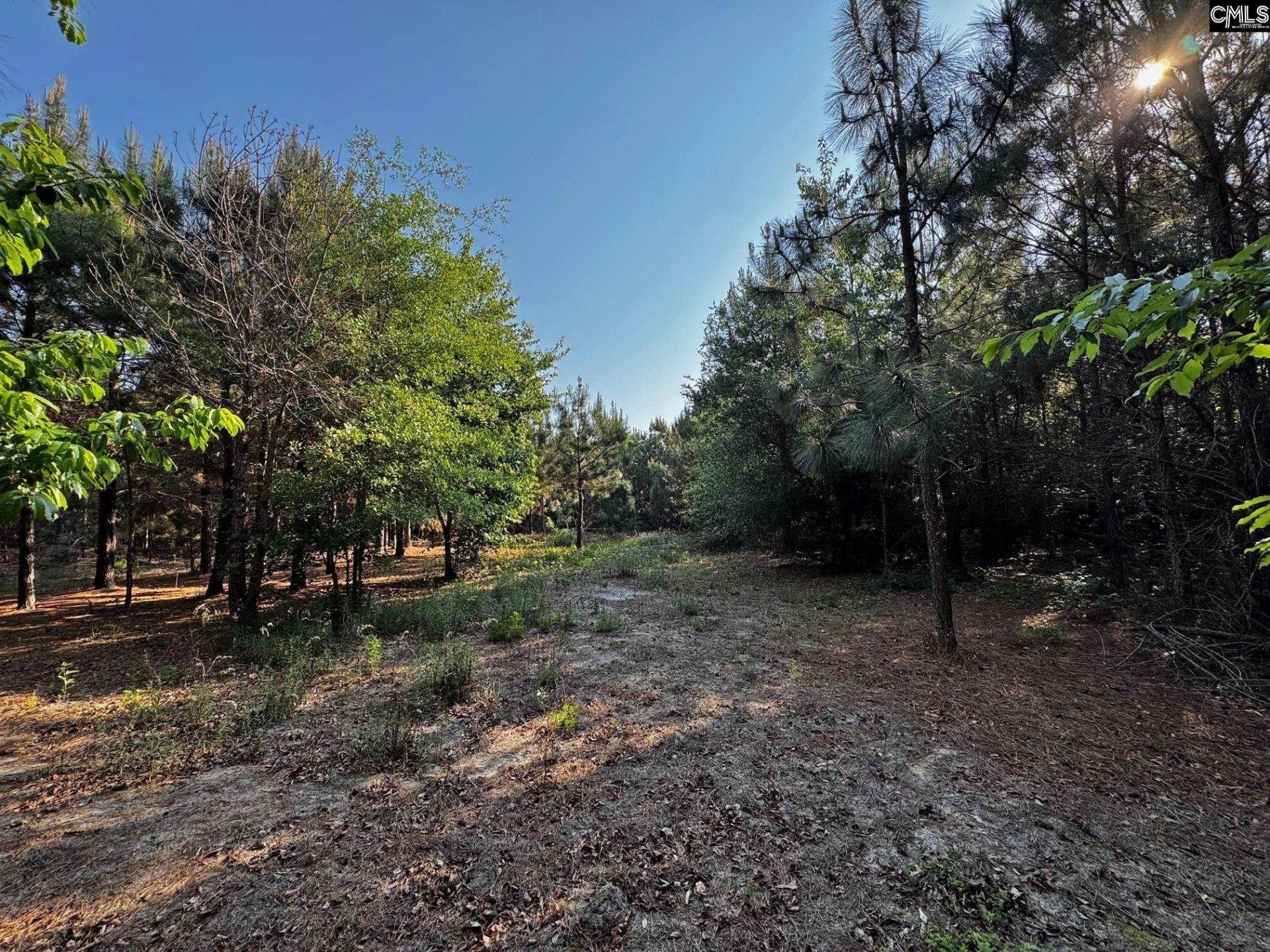 247 S Dixie Road Photo 8
