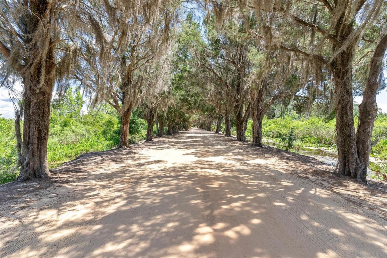 7373 Circle Drive, Lady Lake, FL 32159 Photo
