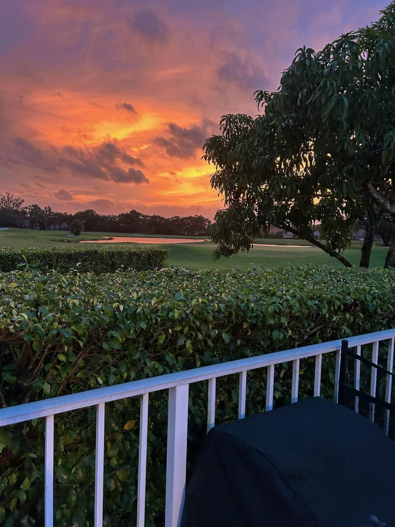 41 Green Point Circle, Palm Beach Gardens, FL 33418 Photo