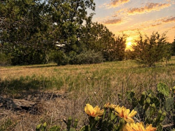 174 Waterman Ln, Pipe Creek, TX 78063
