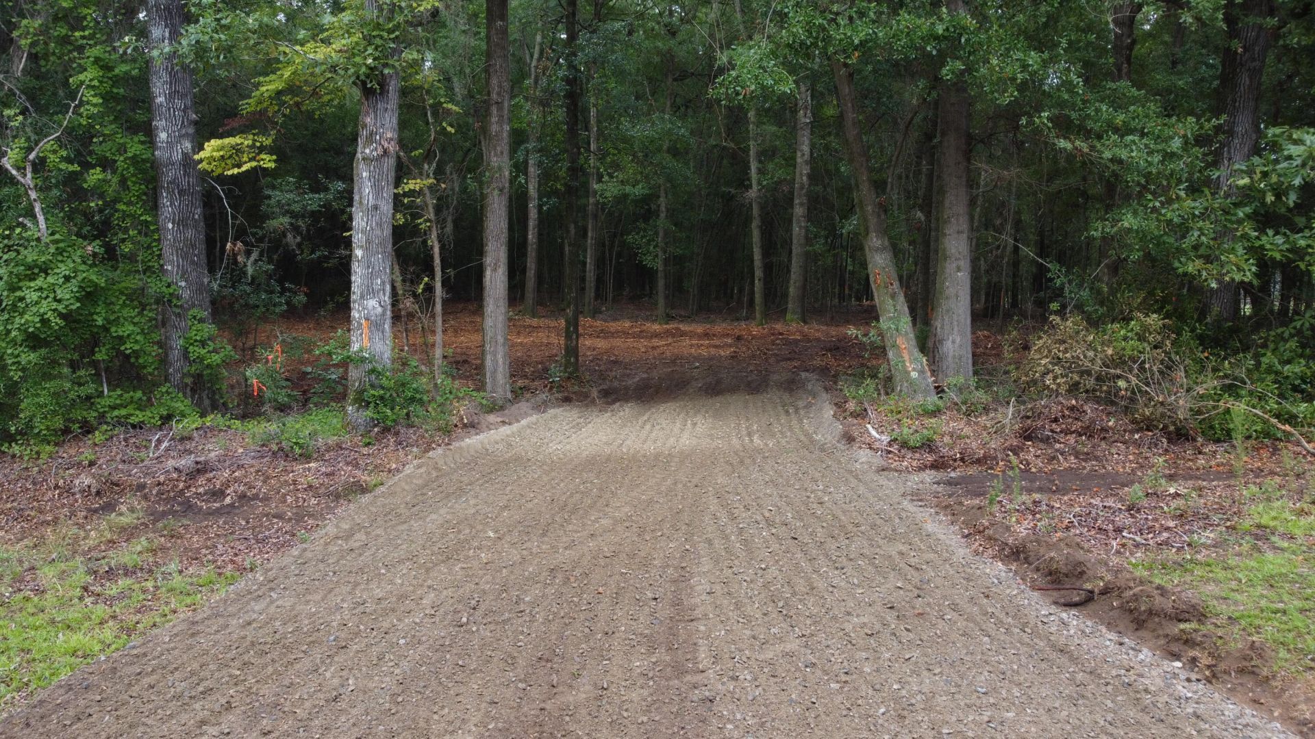 6 Francis Marion Boulevard Photo 10