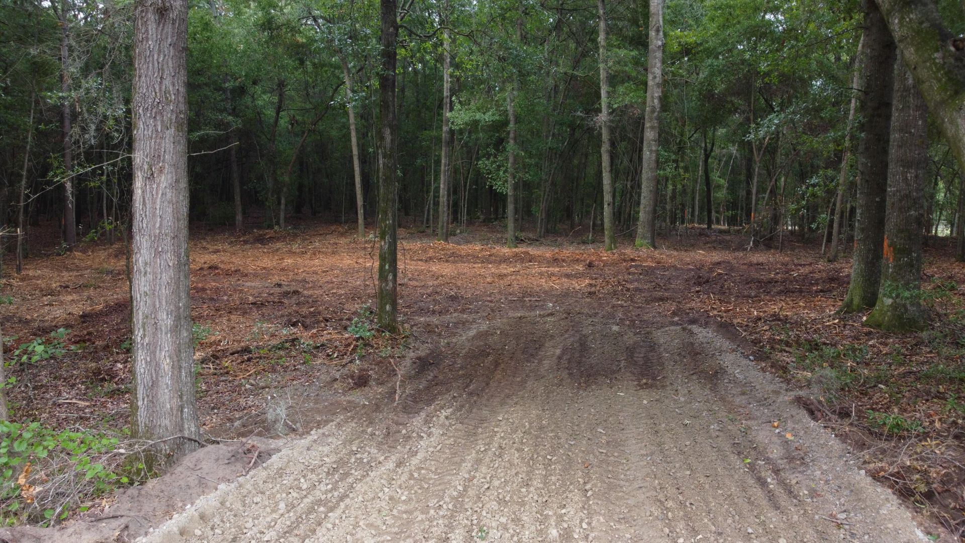 6 Francis Marion Boulevard Photo 11
