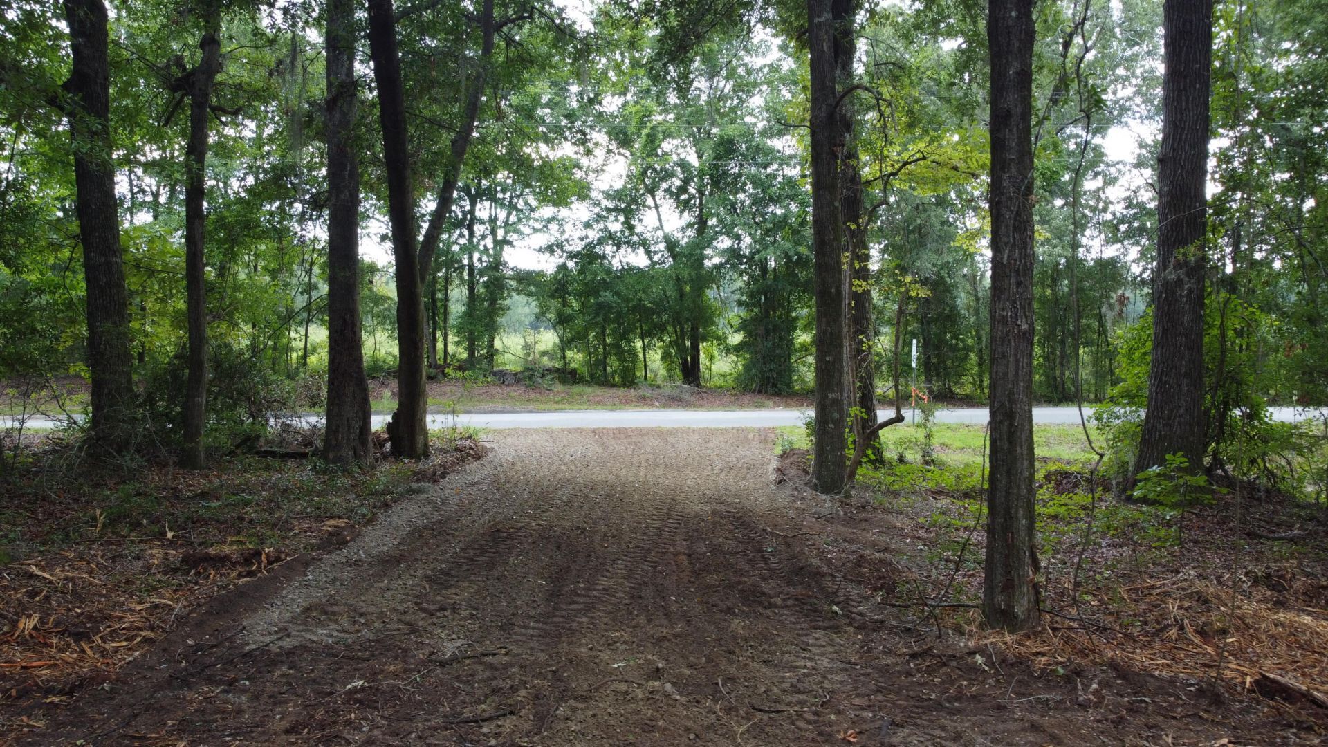 6 Francis Marion Boulevard Photo 12