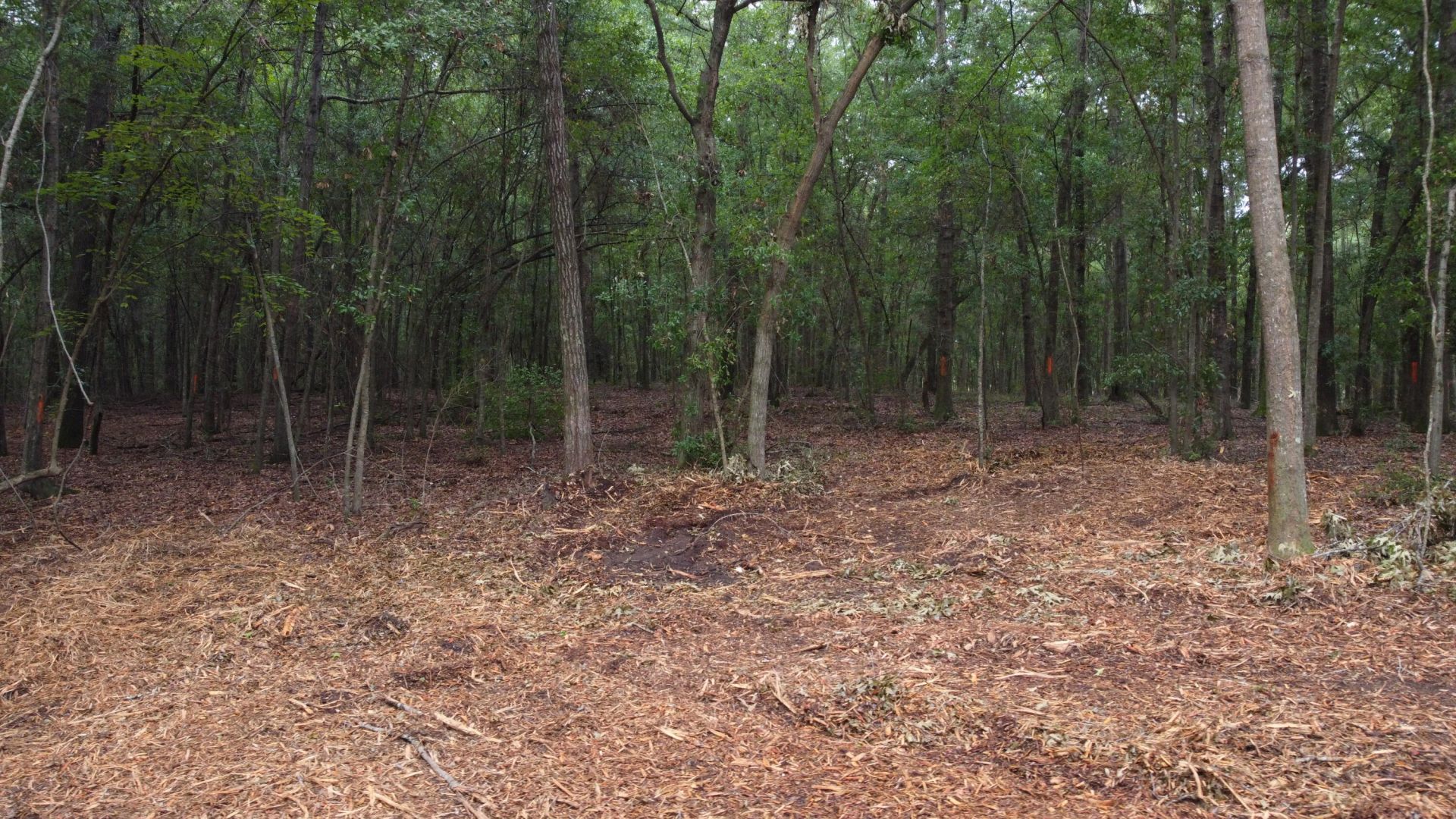 6 Francis Marion Boulevard Photo 14