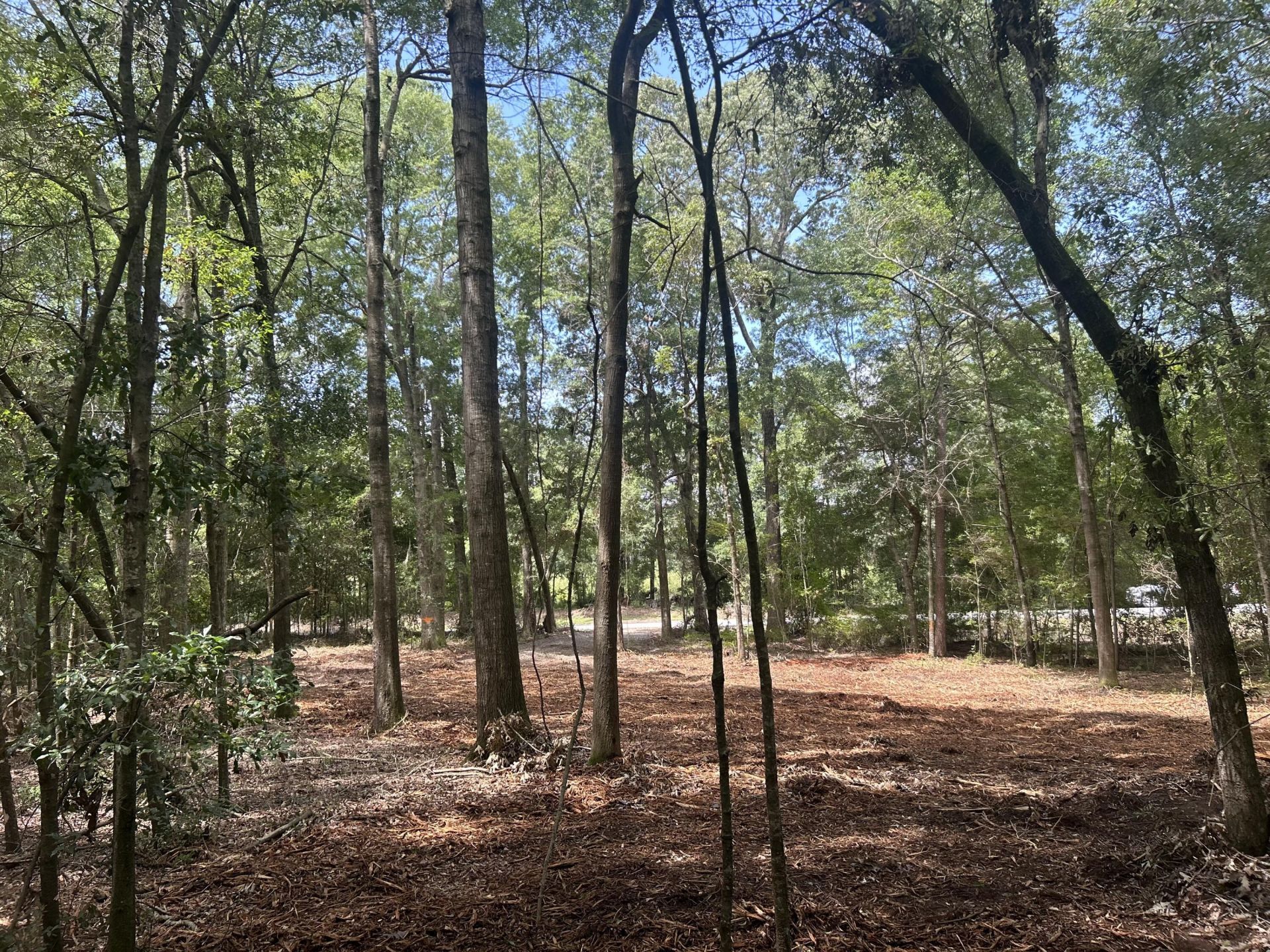 6 Francis Marion Boulevard Photo 5