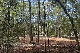 6 Francis Marion Boulevard photo 4