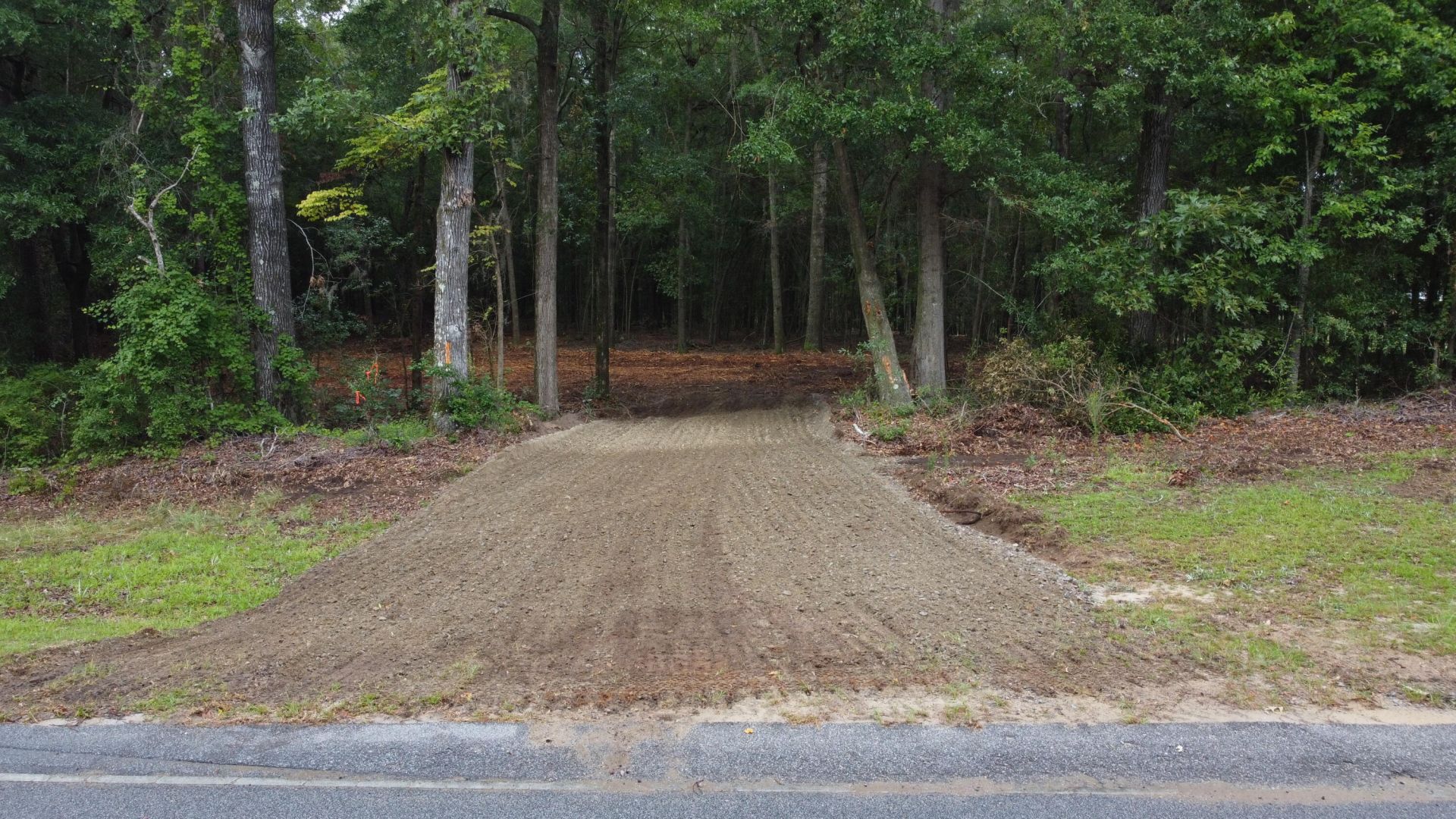 6 Francis Marion Boulevard Photo 7