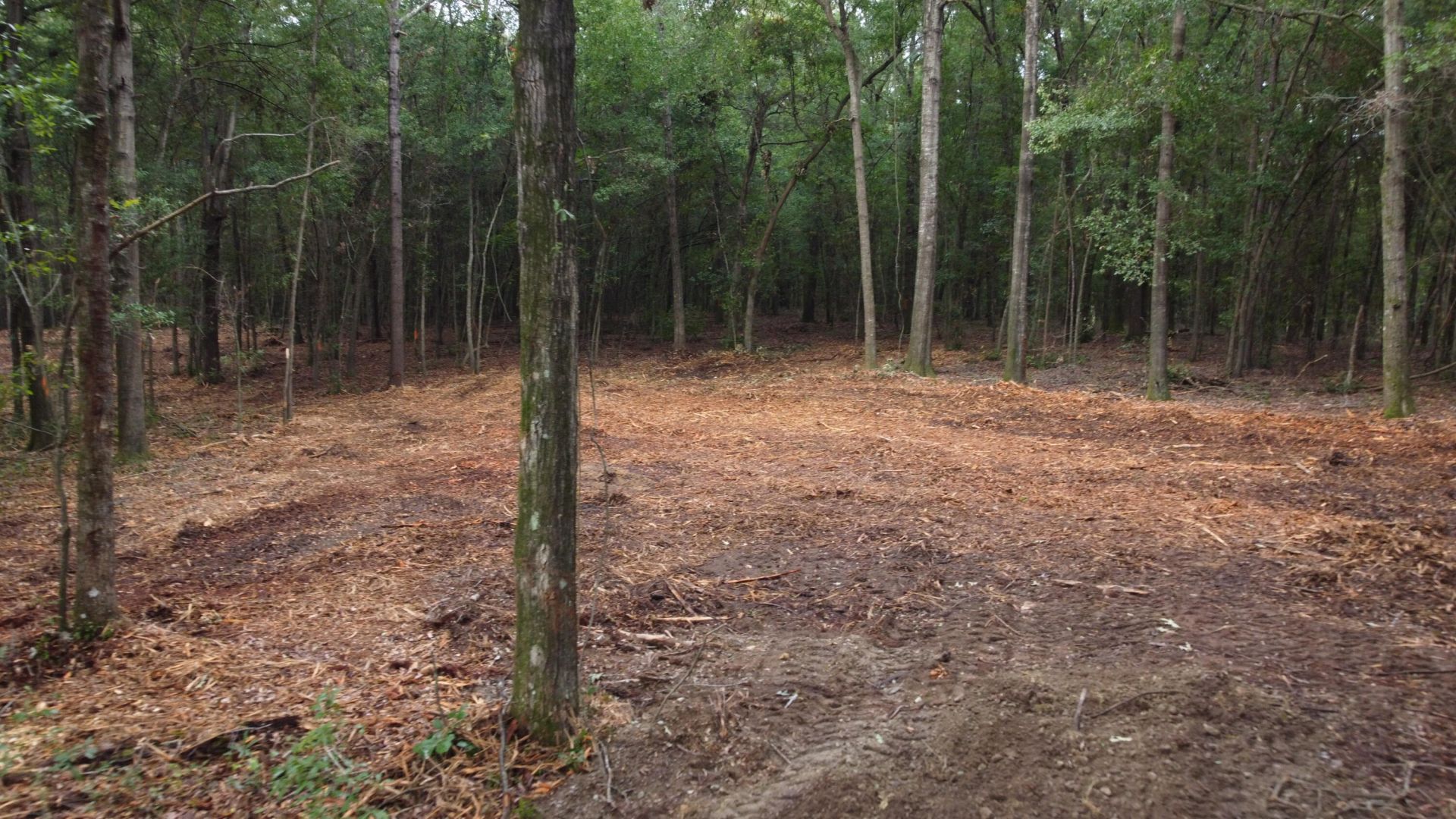6 Francis Marion Boulevard Photo 8