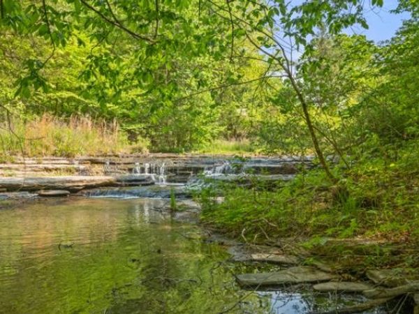 1240 Tanner Hollow Rd , Centerville, TN 37033