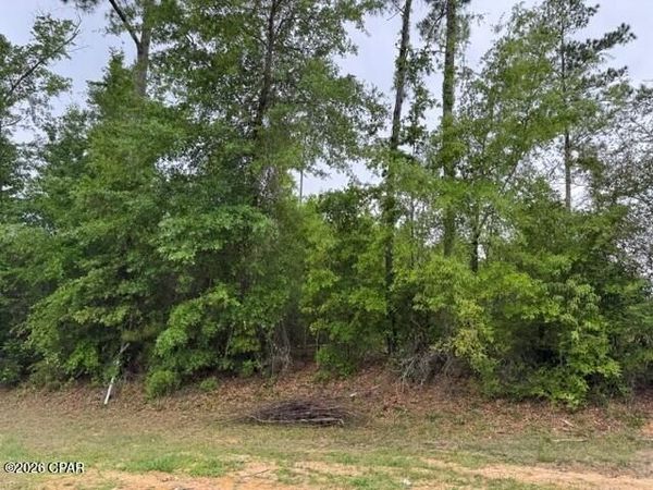 000 W Lakeview Drive , Wewahitchka, FL 32465