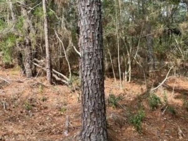 Lot 345 Wainee DR, Bastrop, TX 78602