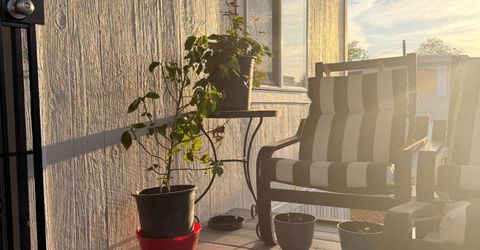 2042 Tully Rd #9, Hughson, CA 95326 Photo