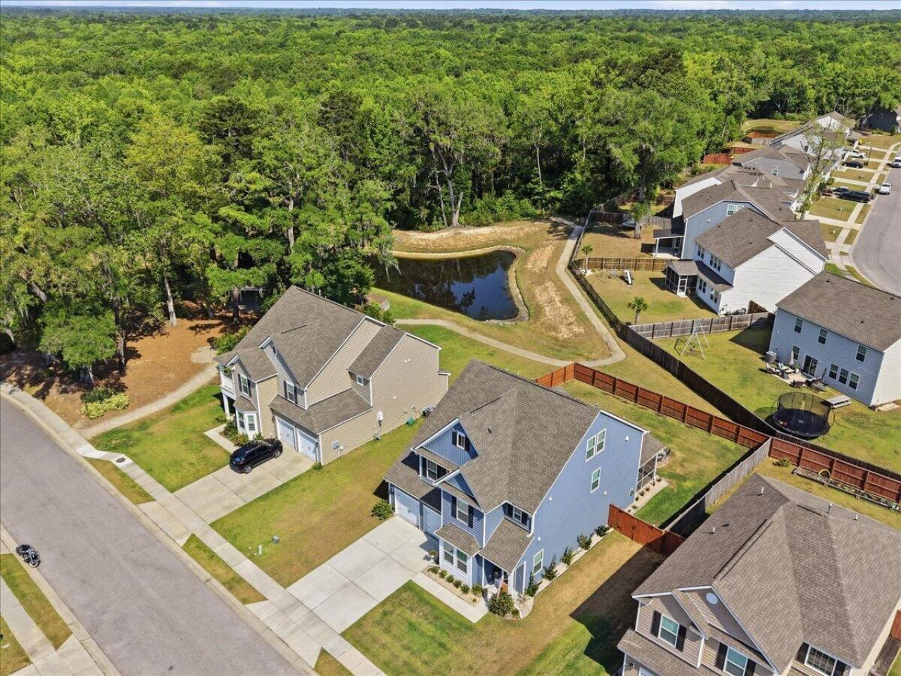 1316 Berry Grove Drive Photo 4