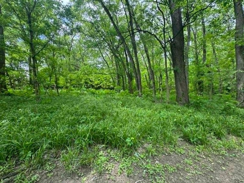 0 Center St, New Richmond, OH 45157 Photo 7